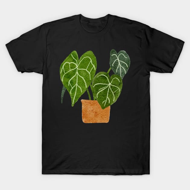 Anthurium Clarinervium Plant T-Shirt by gronly